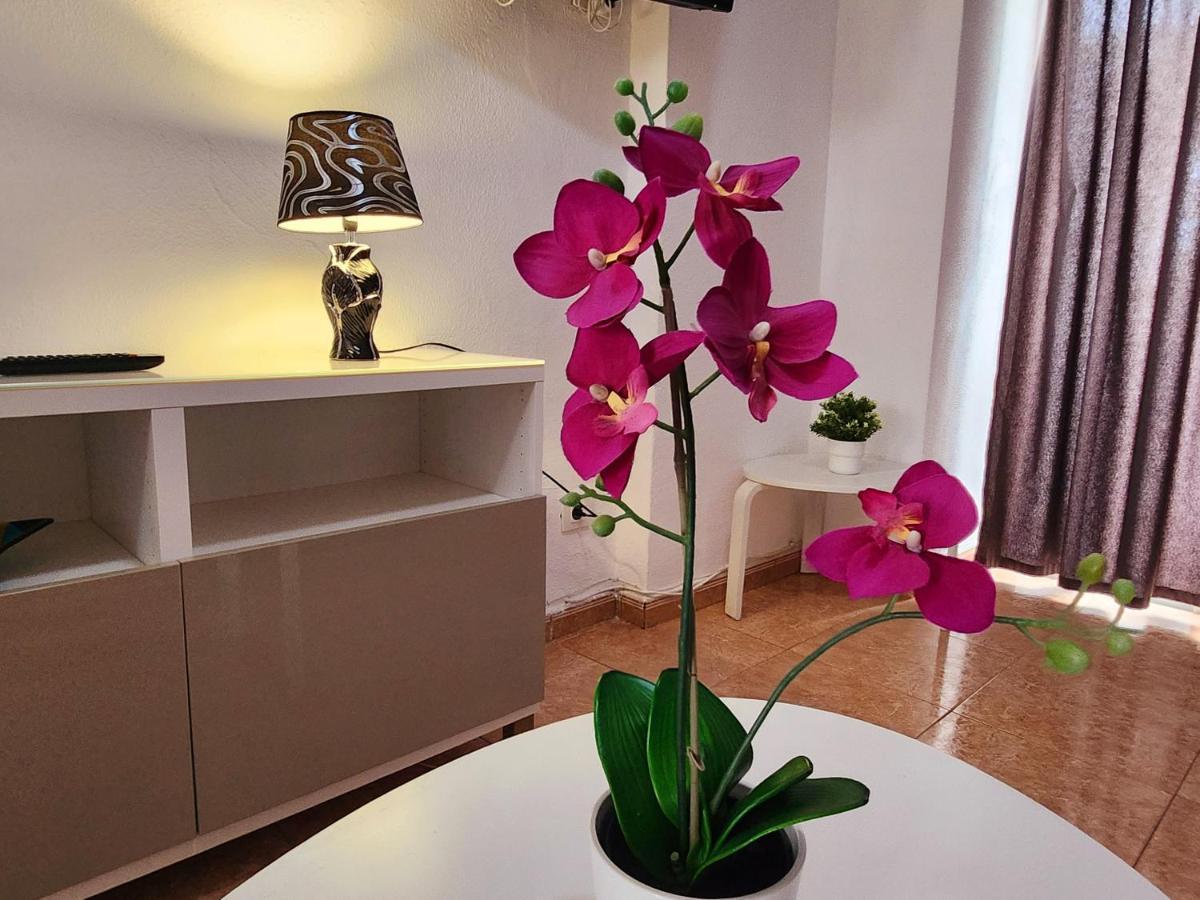 Vivienda Vacacional - Barbados Apartments - 2 Bedrooms #4 マスパロマス エクステリア 写真